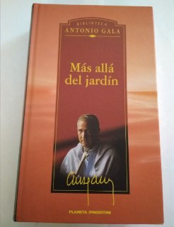 Más allá del jardín