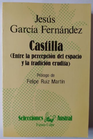Castilla. (Entre la percepción del espacio y la tradición erudita)