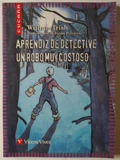 Aprendiz de detective, un robo muy costoso.
