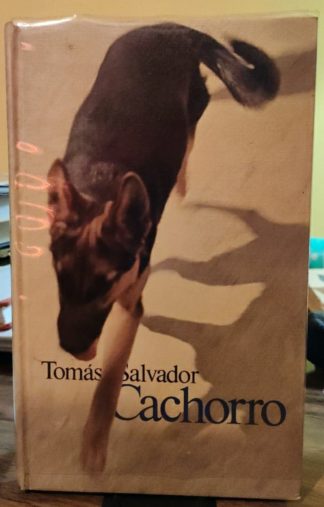 Cachorro