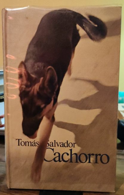 Cachorro