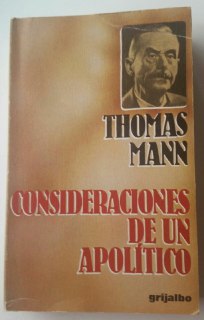 Consideraciones de un apolítico