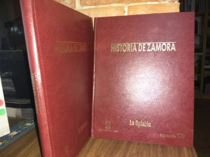 Historia de Zamora.