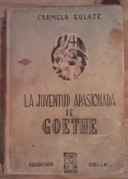 La juventud apasionada de Goethe