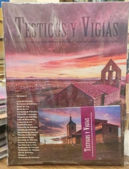 Testigos y vigías: una aproximación histórica y cultural al Valle de Vidriales de Zamora