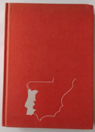 Portugal y el futuro. Análisis de la coyuntura nacional