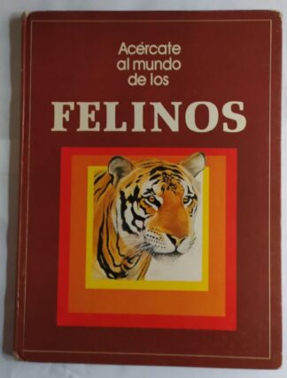 Acércate al mundo de los felinos.