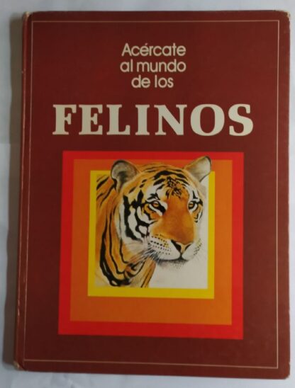 Acércate al mundo de los felinos.
